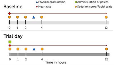 Behavioral observations, heart rate and heart rate variability in horses following oral administration of a cannabidiol containing paste in three escalating doses (part 1/2)